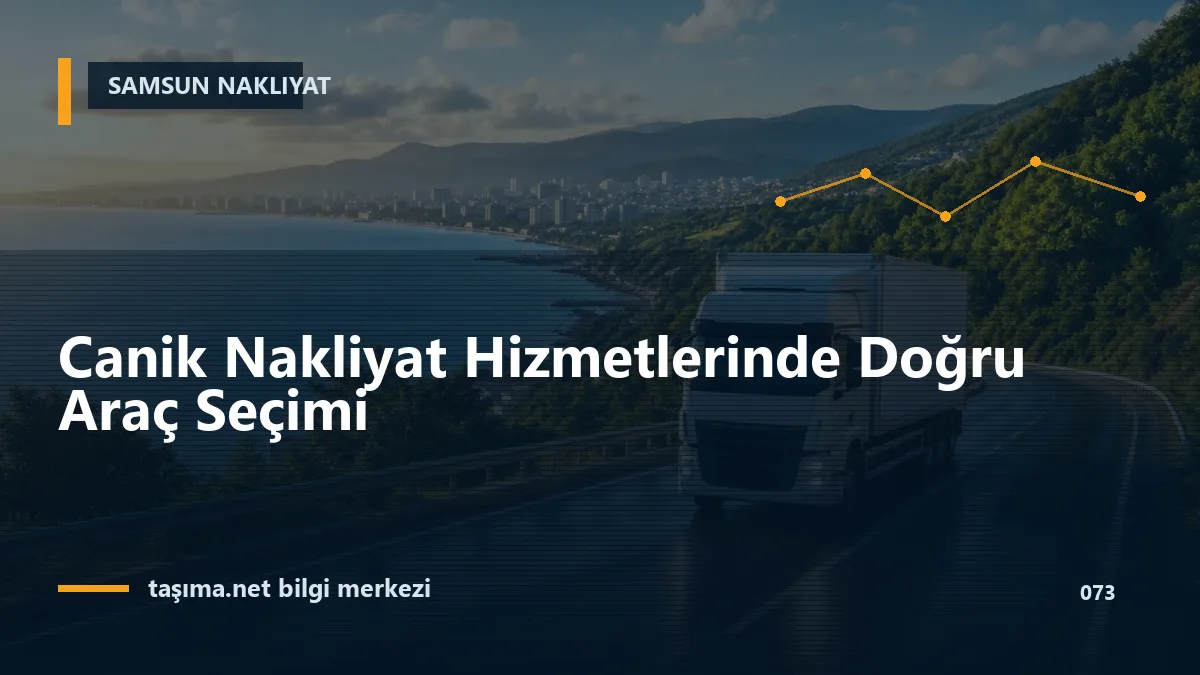 Canik Nakliyat Hizmetlerinde Doğru Araç Seçimi
