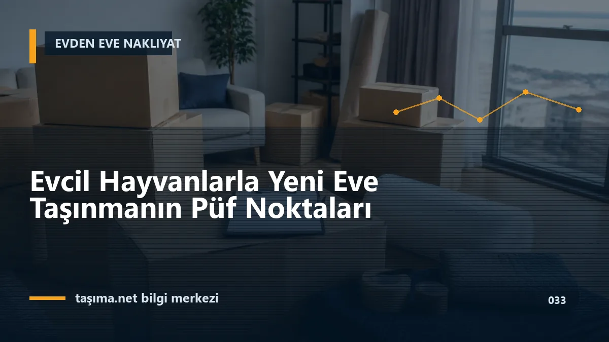 Evcil Hayvanlarla Yeni Eve Taşınmanın Püf Noktaları